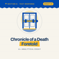 Chronicle of a Death Foretold: Top-Scoring Sample Essay on Accountability